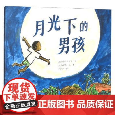 月光下的男孩 安特万·伊迪 著 儿童文学