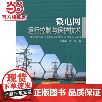微电网运行、控制与保护技术
