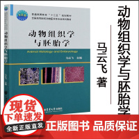 正版 动物组织学与胚胎学 马云飞主编 9787565524035 中国农业大学出版社