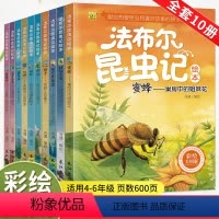 [彩绘美图]法布尔昆虫记(全10册) [正版]法布尔昆虫记全套10册彩绘美图版原著完整版小学生课外阅读一年级二年级三年级
