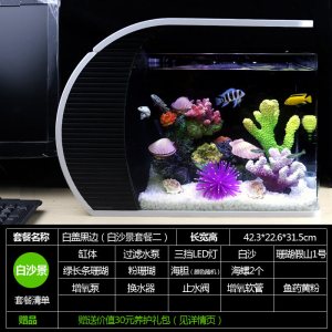 热带金鱼缸水族箱小型珊瑚套餐鱼缸玻璃造景生态真水套餐鱼