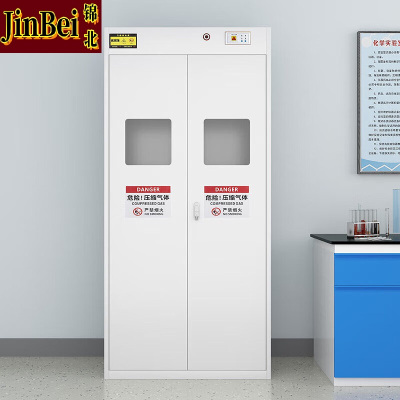 锦北气瓶柜防爆柜易燃气体存储柜易爆气体存放柜安全柜 [气瓶柜]双瓶二代