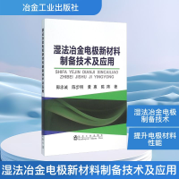 [N]湿法冶金电极新材料制备技术及应用-9787502471781