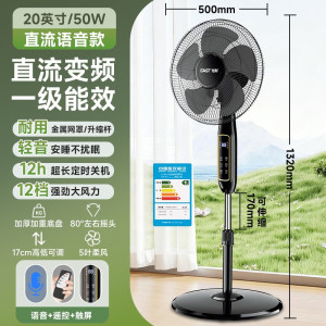 先科SAST电风扇家用落地扇直流变频节能电扇一级能效落地风扇 20英寸直流变频-智能语音款