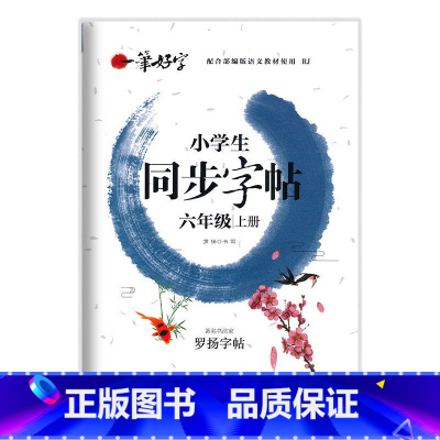 六年级上册 小学通用 [正版]小学生练字帖同步字帖人教版语文一 二 三年级 四年级 五 六 国一上册下册罗扬字帖每日一练