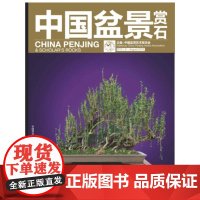 中国盆景赏石2012-8 中国盆景艺术家协会 中国林业出版社 正版书籍