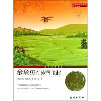 正版新书]国际大奖小说(升级版)-金龟虫在黄昏飞起 [美]玛丽亚