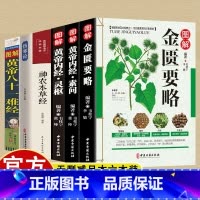 [6册]神农本草+灵枢+素问+金匮要略+伤寒论+八十一难经 [正版]6册神农本草+灵枢+素问+金匮要略+伤寒论+八十一难