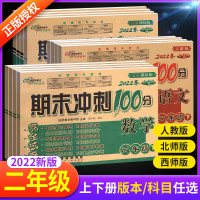 期末冲刺100分二年级下册上册语文数学英语试卷卷全套人教版西师北师大版小学教材同步专项训练习册单元期中真题模拟考试卷子