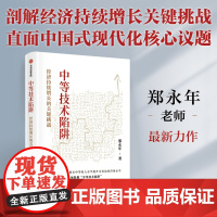 中等技术陷阱 剖解经济持续增长的关键挑战 郑永年 著 直面中国式现代化核心议题 经济