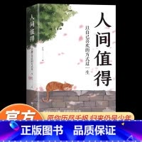 [7册]人间值得+断舍离+方与圆+变通+不可放下+想要的样子+从容淡定 [正版]人间值得 以自己喜欢的方式过一生成长励志