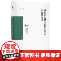 2024新书 网络时代刑法解释原理的实践性展开 冀洋 著 知识产权出版社 9787513087667