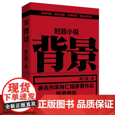 背景 时政小说
