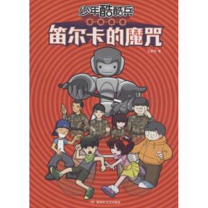 正版新书]少年酷酷兵?笛尔卡的魔咒王慧艳9787503325946