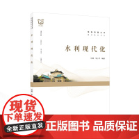 水利现代化 洪林,李小平 编著 珞珈博雅文库通识教材系列 9787307238077 武汉大学出版社 水利建设-现代化-