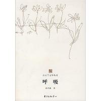 正版新书]呼吸孙甘露9787801867933