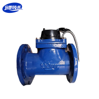 宜黔技术 电子远传水表(LXSY-100 2级)