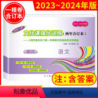 语文 上海 2023-2024中考一模 [正版]2023-2024领先一步上海中考一模卷两年合订两年合订本本语文含答案先