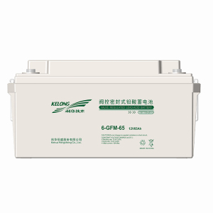 科华技术 KELONG UPS蓄电池12V65AH 6-GFM-65/块