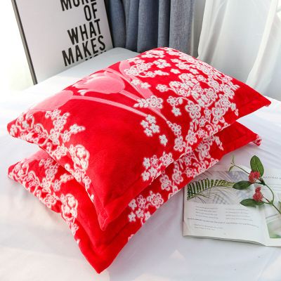 SleepyBear珊瑚绒枕套法兰绒枕头套一对装加厚学生宿舍单人冬季保暖毛绒枕套