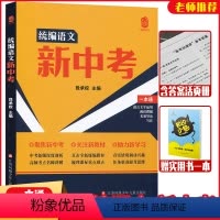 [正版]人教版统编版 新中考 语文中考语文一本通考点名师讲解 语言文字运用阅读理解名著导读写作 初中语文基础知识中考练