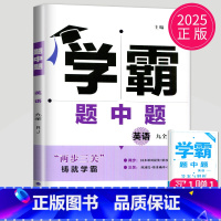 英语 九年级全一册 人教版 九年级/初中三年级 [正版]2025学霸题中题九年级下册上册数学物理英语化学苏科版译林版苏教