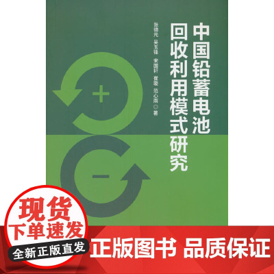 中国铅蓄电池回收利用模式研究