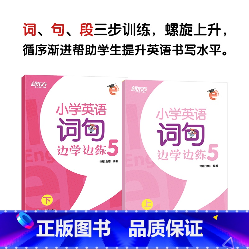 小学英语词句边学边练5 小学升初中 [正版]新东方一本解码小学英语语法 小学毕业初中入学五六年级剑桥英语等级考试 核心考