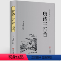 [正版]唐诗三百首全解精选精装典藏版中国古诗词书籍全宋词鉴赏词典辞典赏析唐诗宋词选集古代古典诗词书籍 中国文联出版社h