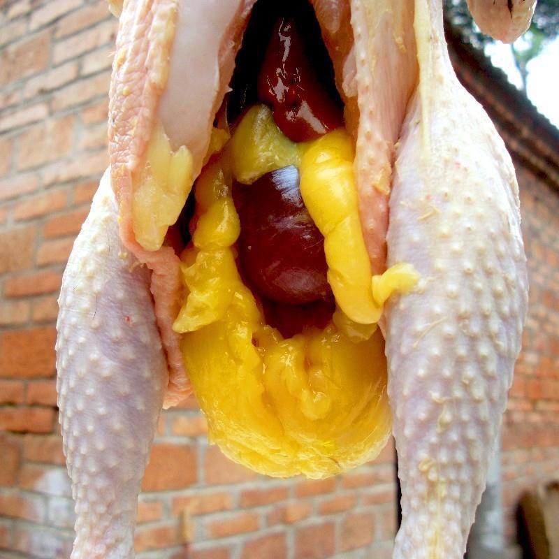 700天散养土鸡2斤/只 现杀有蛋花黄油鸡胗蛋包肠/顺丰特