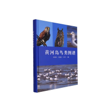 正版新书]黄河岛鸟类图谱孙虎山9787560779973