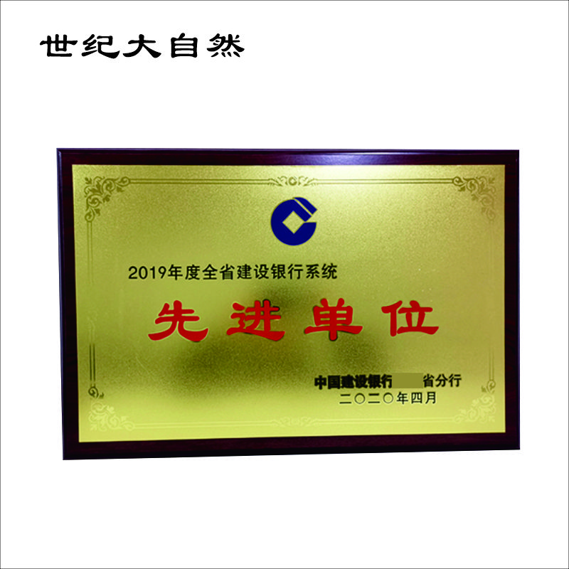 世纪大自然 木托光固奖牌 600*400mm 块