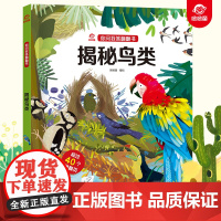 呦呦童正版 你问我答翻翻书揭秘鸟类 0-3-6岁儿童秒懂鸟类小百科 益智早教启蒙认知科普逻辑思考趣味阅读幼儿园小宝宝故事
