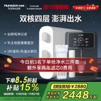 汉斯顿/Hunsdon[国家补贴]净水器家用厨下式净水机家用直饮净水器C2净水器家用无桶双水大流量过滤器净水器