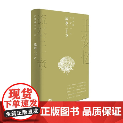 流水三十章(王安忆长篇小说) 王安忆 人民文学出版社 正版书籍