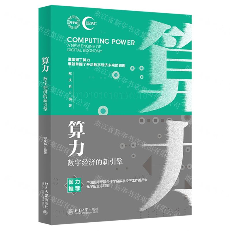 [N]算力(数字经济的新引擎)-9787301333020