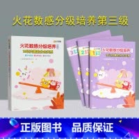 [正版]新书 火花数感分级培养第三级:10以内数的分合关系 火花思维研发中心 儿童数学启蒙 小学入学准备 书