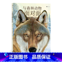 单本全册 [正版]童书 与森林动物面对面 5岁以上 自然科普绘本15种森林动物 童书