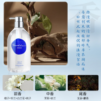 G4控油去屑洗发水