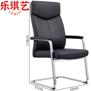 乐琪艺