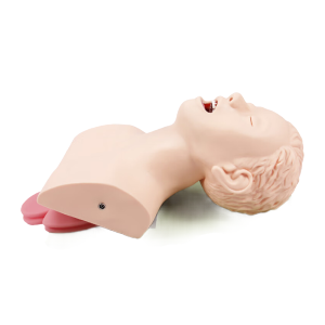 恒则卫勤 OF-J3成人气管插管模型牙齿压迫报警急救培训教学口咽通气教具