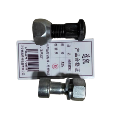 逸凯 转向螺栓 A35 /个