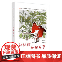 红狐狸和银丹草