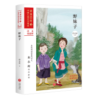 音像野妹子/中儿童文学精选任大星