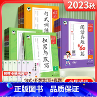 语文·句式训练大全(下册) 小学六年级 [正版]2024版53小学基础练语文积累与默写一二年级三年级四年级五年级六年级上