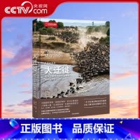 [正版]央视网美丽的地球大迁徙 中国国家地理美丽的地球系列书籍 科普类书 了解迁徙动物的生活史DL