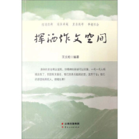正版新书]挥洒作文空间王文松9787222143562