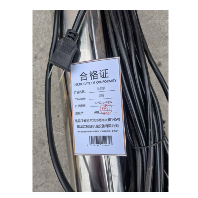 硕臻 潜水泵 125QJ—4KW 台