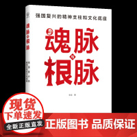 魂脉与根脉:强国覆兴的精神支柱和文化底座 社科 政治 马克思主义 中华文化 中国青年出版社正版