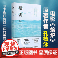 [正版书籍]远海 孔枝泳作品(电影《熔炉》原著作者“将我此生的骨头渐渐溶化,变成墨水”) 韩国文学外国小说书籍书